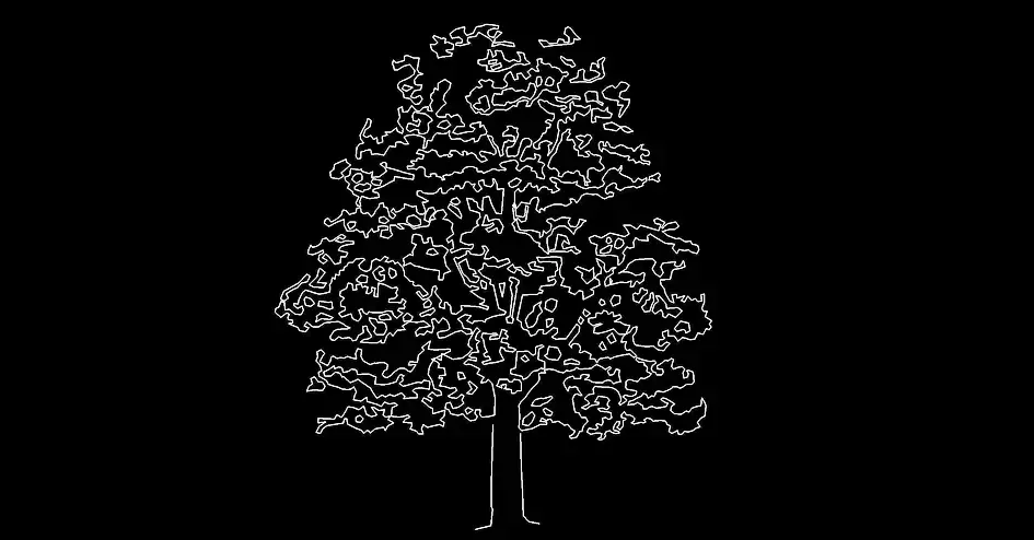Télécharger un bloc gratuit d’arbre d’ombrage feuillu en élévation DWG