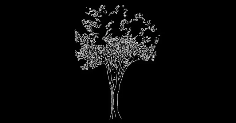 Télécharger un bloc gratuit d’arbre de taille moyenne en élévation DWG