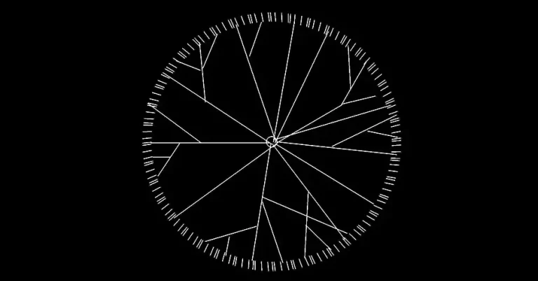 Télécharger un bloc gratuit d’arbre en plan avec feuillage texturé radial DWG