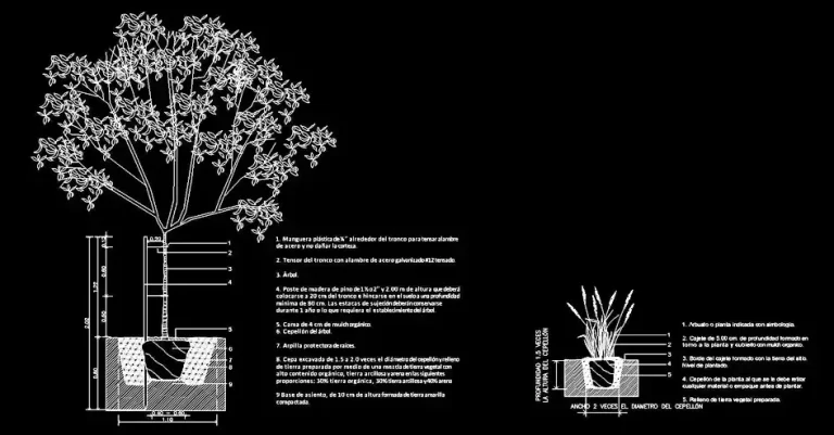Télécharger un bloc gratuit de détail de plantation d’arbre DWG
