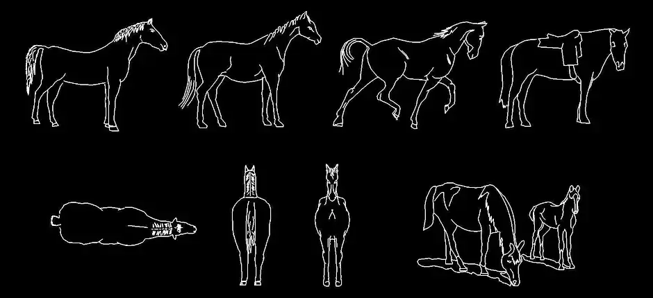 Télécharger des blocs DWG gratuits : chevaux en plusieurs vues