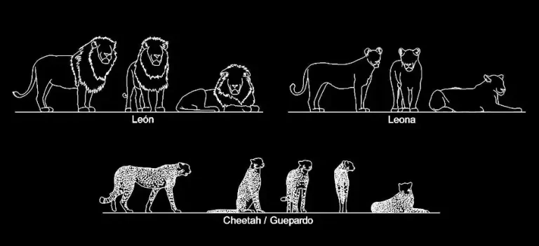 Télécharger des blocs DWG gratuits : lions, lionnes et guépards
